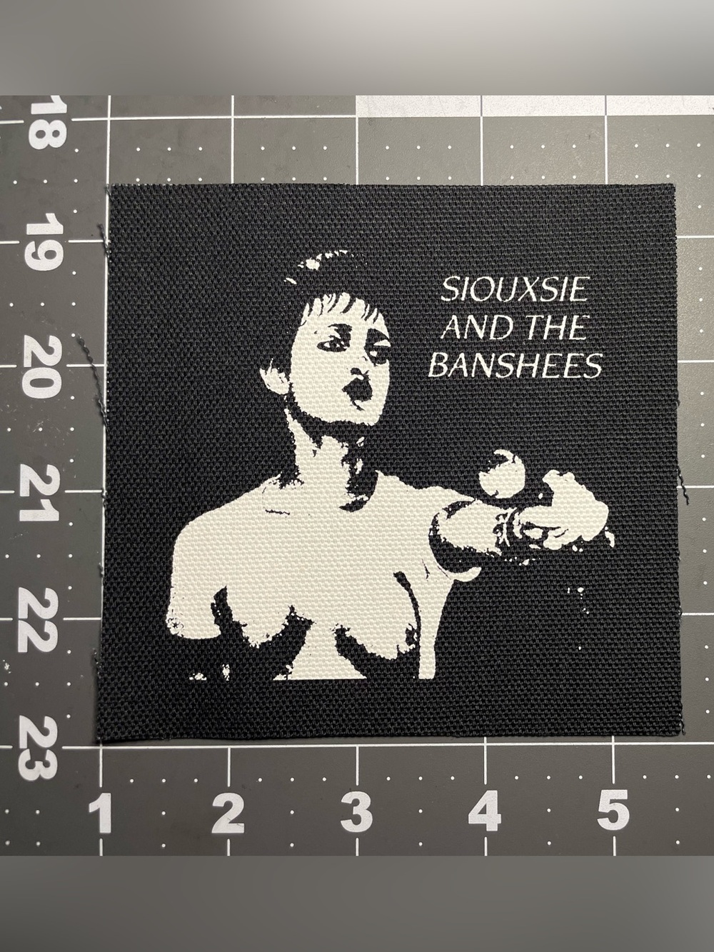 Siouxsie and the banshees canvas patch